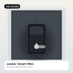 Locker Smart Mini